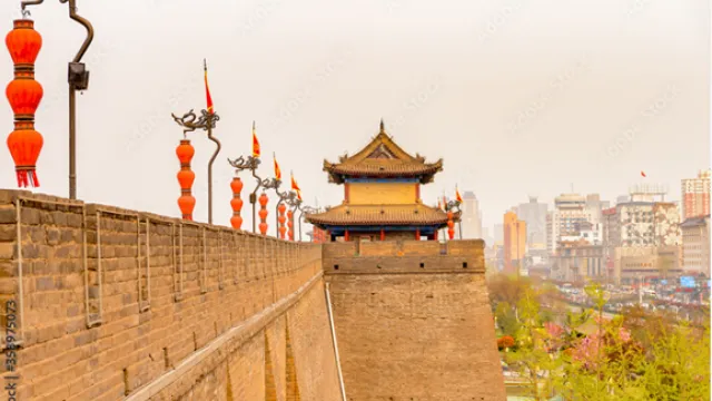 1764130223706018.jpg muonscoverch.png.jpg